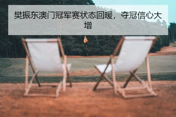 樊振东澳门冠军赛状态回暖，夺冠信心大增
